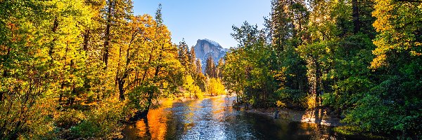 Drzewa, Drzewa, Rzeka, Góry, Park Narodowy Yosemite, Stany Zjednoczone, Kalifornia, Merced River, Jesień