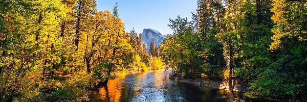 Drzewa, Drzewa, Rzeka, Góry, Park Narodowy Yosemite, Stany Zjednoczone, Kalifornia, Merced River, Jesień