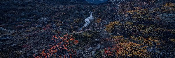 Roślinność, Góry, Fitz Roy, Patagonia, Argentyna, Jesień, Rzeka