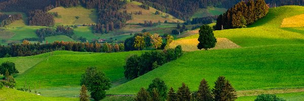 Wzgórza, Drzewa, Góry, Pola, Las, Tęcza