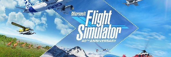 Morze, Gra, Niebo, Samoloty, Plakat, Helikopter, Góry, Słońce, Żyrafy, Microsoft Flight Simulator, Chmury