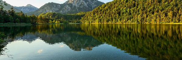 Bawaria, Drzewa, Odbicie, Niemcy, Jezioro Schwansee, Góry