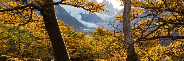 Promienie słońca, Góra, Fitz Roy, Patagonia, Argentyna, Drzewa, Jesień