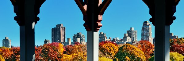 Drzewa, Central Park, Stany Zjednoczone, Manhattan, Kolumny, Wieżowce, Nowy Jork, Jesień