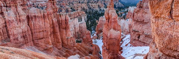 Utah, Drzewa, Park Narodowy Bryce Canyon, Stany Zjednoczone, Skały, Góry