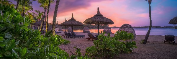 Parasole, Plaża, Mauritius, Zachód słońca, Leżaki, Palmy, Roślinność, Morze