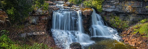 Drzewa, Skały, Wodospad, Rzeka Blackwater, Park stanowy Blackwater Falls, Stany Zjednoczone, Wirginia Zachodnia, Blackwater Falls, Las