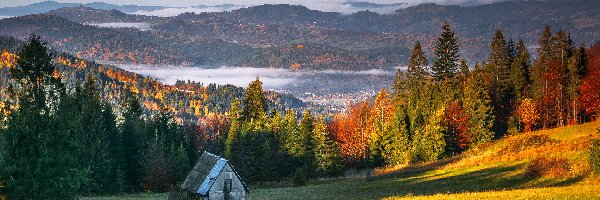 Las, Kolorowe, Polska, Góry, Drzewa, Polana, Szopa, Jesień