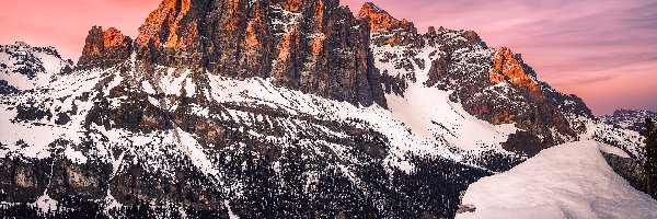 Zima, Prowincja Belluno, Drzewa, Las, Gmina Cortina dAmpezzo, Góry Tofany, Dolomity, Włochy