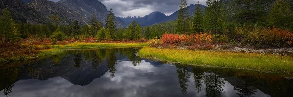 Jezioro, Góry, Roślinność, Drzewa, Kołymskie, Jacka Londona, Jesień, Rosja