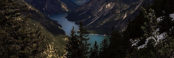Góry, Jezioro Plansee, Wysokie Taury, Austria, Drzewa