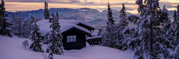 Norwegia, Domy, Drzewa, Góry, Zima, Valdres, Śnieg