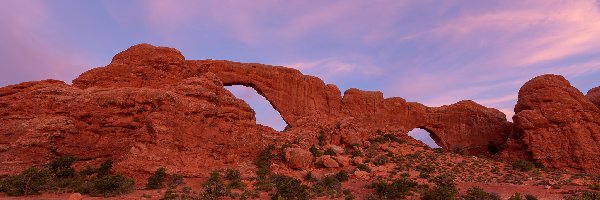 Skały, Krzewy, Park Narodowy Arches, Stany Zjednoczone, Utah