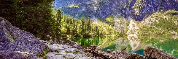 Polska, Skały, Drzewa, Tatry, Góry, Morskie Oko, Jezioro