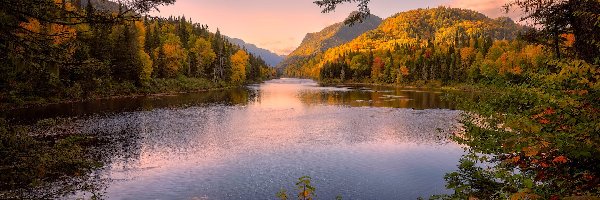 Krzewy, Góry, Jezioro, Kanada, Quebec, Drzewa, Jesień