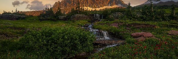 Strumień, Łąka, Góra, Góry Skaliste, Park Narodowy Glacier, Stany Zjednoczone, Montana, Reynolds Mountain, Skały