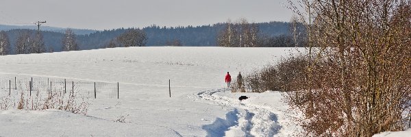 Zima, Łąki, Zaśnieżone, Ludzie, Drzewa