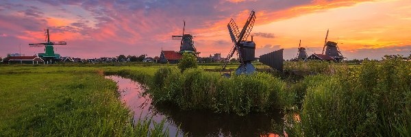 Holandia, Wiatraki, Zachód słońca, Trawa, Rzeka, Zaandam, Skansen Zaanse Schans