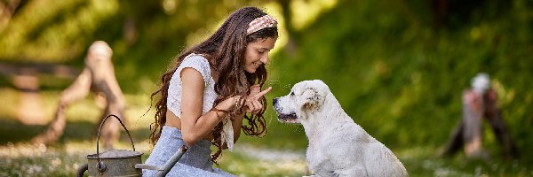 Łąka, Golden retriever, Szczeniak, Dziewczyna