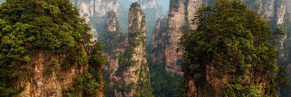 Góry, Skały, Drzewa, Zhangjiajie National Forest Park, Prowincja Hunan, Chiny