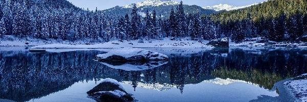 Góry, Las, Drzewa, Szwajcaria, Jezioro Caumasee, Zima