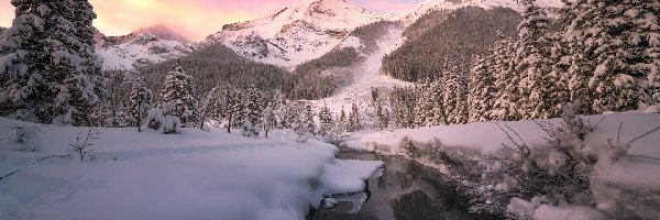 Kanada, Canadian Rockies, Las, Góry, Zima, Drzewa, Ośnieżone