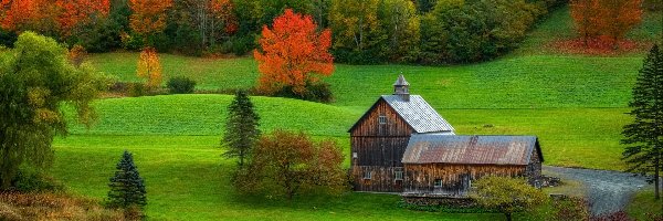 Drzewa, Domy, Nowa Anglia, Stan Vermont, Stany Zjednoczone, Wieś, Staw, Wzgórza, Jesień