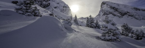 Zaspy, Góry, Drzewa, Wschód słońca, Śnieg, Zima