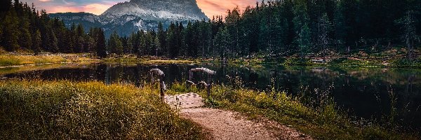 Mostek, Antorno Lake, Góry, Tre Cime di Lavaredo, Włochy, Jezioro, Masyw, Lasy, Dolomity, Trawa, Drzewa, Prowincja Belluno, Chmury