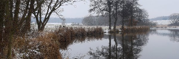 Zima, Trawa, Śnieg, Jezioro, Drzewa
