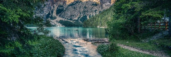 Drzewa, Jezioro, Braies Lake, Włochy, Dolomity, Góry