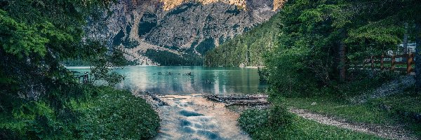 Drzewa, Jezioro, Braies Lake, Włochy, Dolomity, Góry