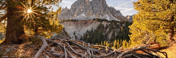 Włochy, Drzewa, Przełęcz, Góra Peitlerkofel, Góry, Promienie słońca, Passo delle Erbe