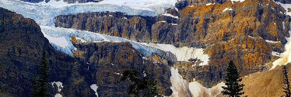 Drzewa, Crowfoot Mountain, Kanada, Alberta, Park Narodowy Banff, Lodowiec, Crowfoot Glacier, Góry