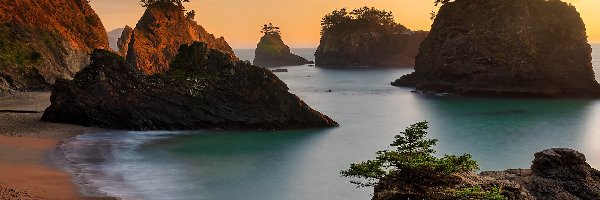 Plaża, Skały, Morze, Oregon, Stany Zjednoczone, Samuel H Boardman State Scenic Corridor, Park stanowy, Wysepki, Drzewa