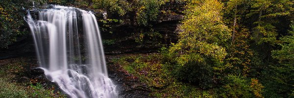 Rzeka, Dry Falls, Skały, Drzewa, Las, Stany Zjednoczone, Karolina Północna, Wodospad, Cullasaja River