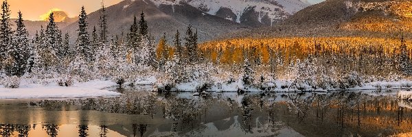 Three Sisters, Góry, Kanada, Góra, Odbicie, Canmore, Canadian Rockies, Policeman Creek, Alberta, Rzeka, Las, Krzewy, Drzewa