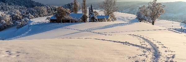 Drzewa, Góry, Domy, Ścieżka, Śnieg, Zima