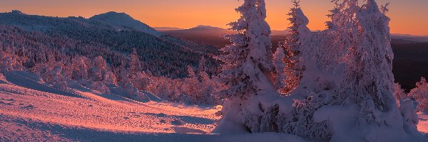 Zima, Drzewa, Śnieg, Zaspy, Góry