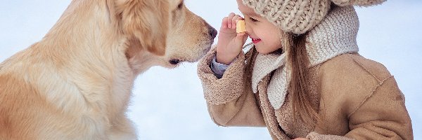 Pies, Zbliżenie, Golden retriever, Dziewczynka