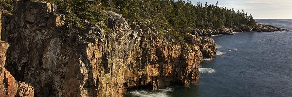 Las, Drzewa, Klif, Skały, Morze, Stany Zjednoczone, Maine, Ravens Nest, Park Narodowy Acadia