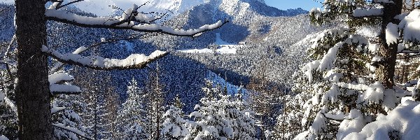 Góry, Las, Drzewa, Zima, Śnieg
