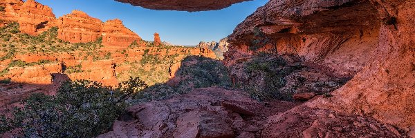 Czerwone, Sedona, Skały, Krzewy, Arizona, Stany Zjednoczone