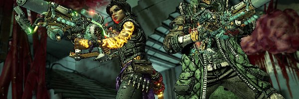 Broń, Borderlands 3, Gra, Postacie