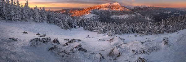 Drzewa, Ośnieżone, Karkonosze, Góry, Zima, Polska, Księżyc, Las, Wschód słońca