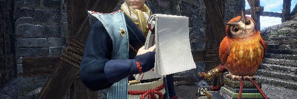 Postać, Sowa, Malzeno, Monster Hunter Rise Sunbreak, Gra