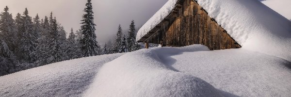 Chmury, Góry, Dom, Śnieg, Zima, Mgła, Drzewa