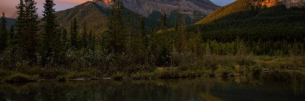 Canadian Rockies, Canmore, Alberta, Policeman Creek, Drzewa, Krzewy, Góry, Las, Rzeka, Odbicie, Góra Three Sisters, Kanada