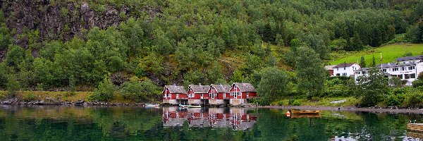 Mgła, Góra, Las, Domy, Norwegia, Fiord Aurlandsfjord