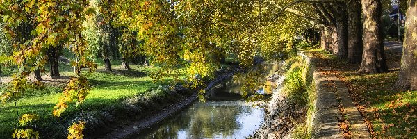 Rzeka, Drzewa, Park, Kanał